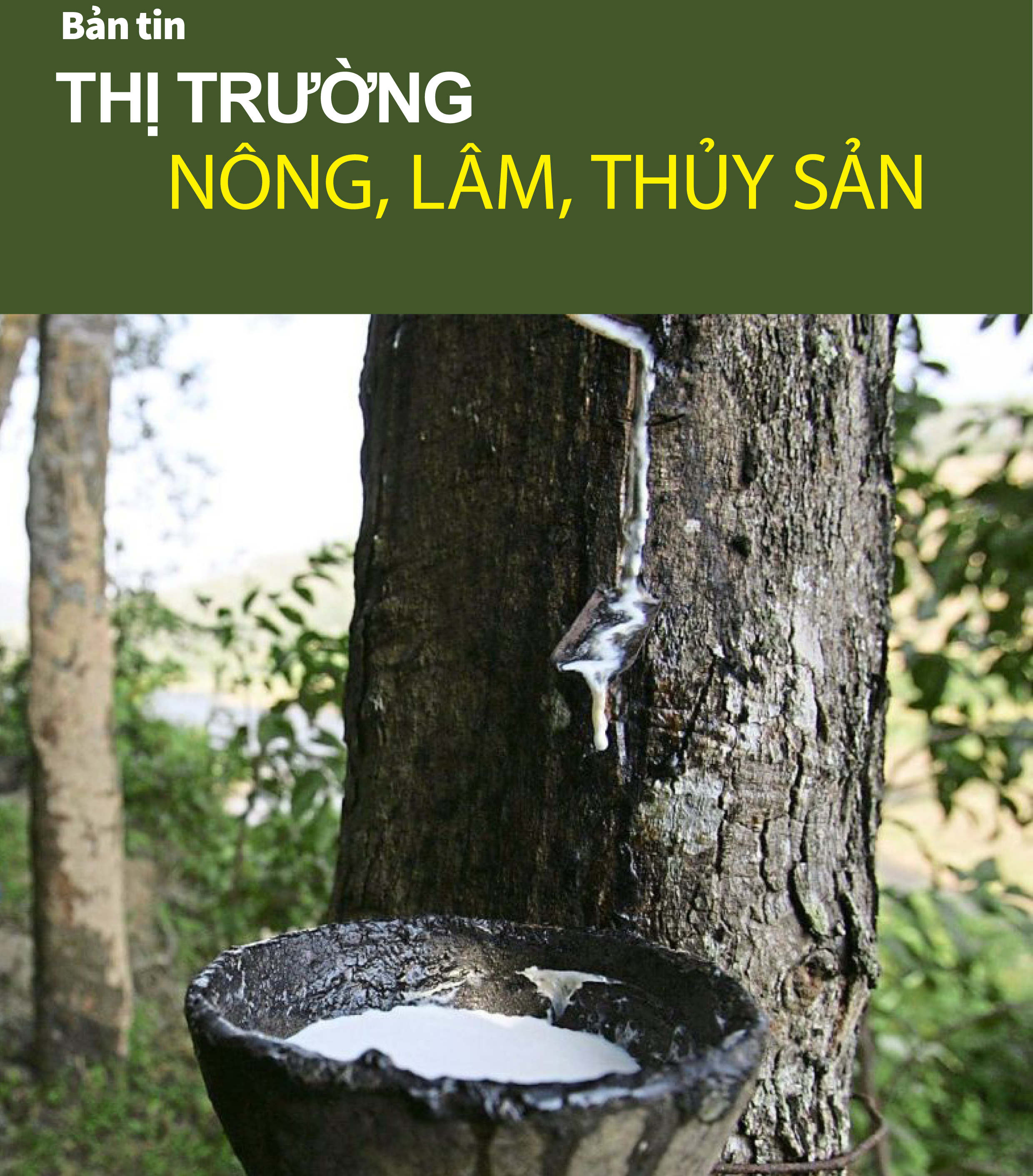 Bản tin Thị trường Nông lâm thủy sản số ra ngày 20/11/2025