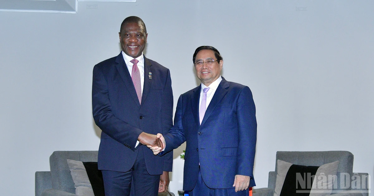 Việt Nam sẽ đóng góp hết sức cho thành công của Hội nghị Thượng đỉnh G20 Nam Phi