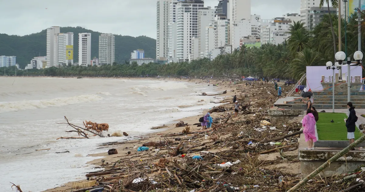 Bãi biển Nha Trang ngập rác do lũ