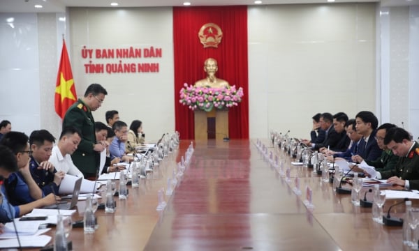 Đoàn công tác Bộ Nông nghiệp và Môi trường làm việc với tỉnh Quảng Ninh về IUU