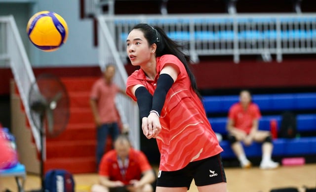 A vietnami női röplabdacsapat déli szurkolókat vonz - 2. kép. Đội tuyển bóng chuyền nữ Việt Nam tạo sức hút với người hâm mộ phía nam- Ảnh 2.