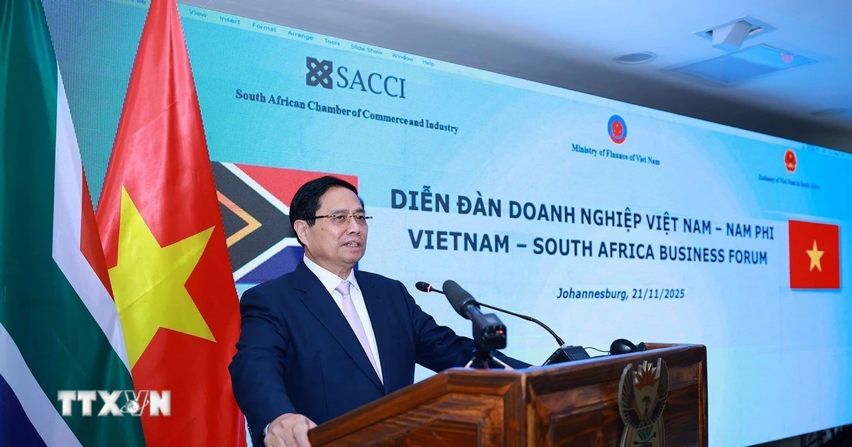 Doanh nghiệp Việt Nam-Nam Phi tăng kết nối, hướng tới các dự án hợp tác mới