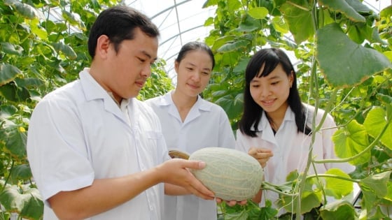 Ứng dụng công nghệ cao - chìa khóa phát triển xanh