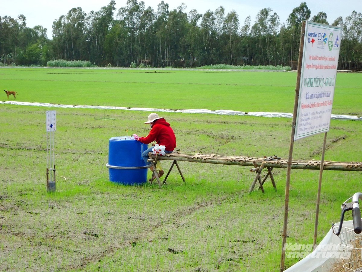 Cán bộ kỹ thuật ghi nhận dữ liệu quan trắc đồng ruộng trong mô hình canh tác lúa giảm phát thải tại ĐBSCL. Ảnh: Lê Hoàng Vũ.