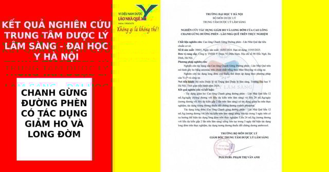 Chanh gừng đường phèn hỗ trợ tăng cường đề kháng tự nhiên trong mùa bệnh hô hấp- Ảnh 3.