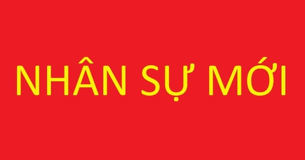 Phê chuẩn kết quả bầu, miễn nhiệm chức vụ Phó Chủ tịch UBND Thành phố Hồ Chí Minh