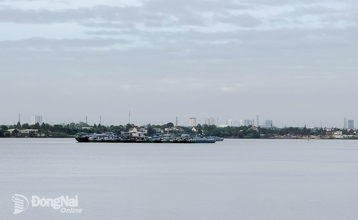 Cảnh báo rủi ro thiên tai do lũ trên sông Đồng Nai đạt cấp 2