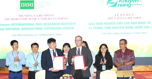 'Cánh đồng xanh, công nghệ sạch': Lúa chất lượng cao mở tương lai mới cho ĐBSCL