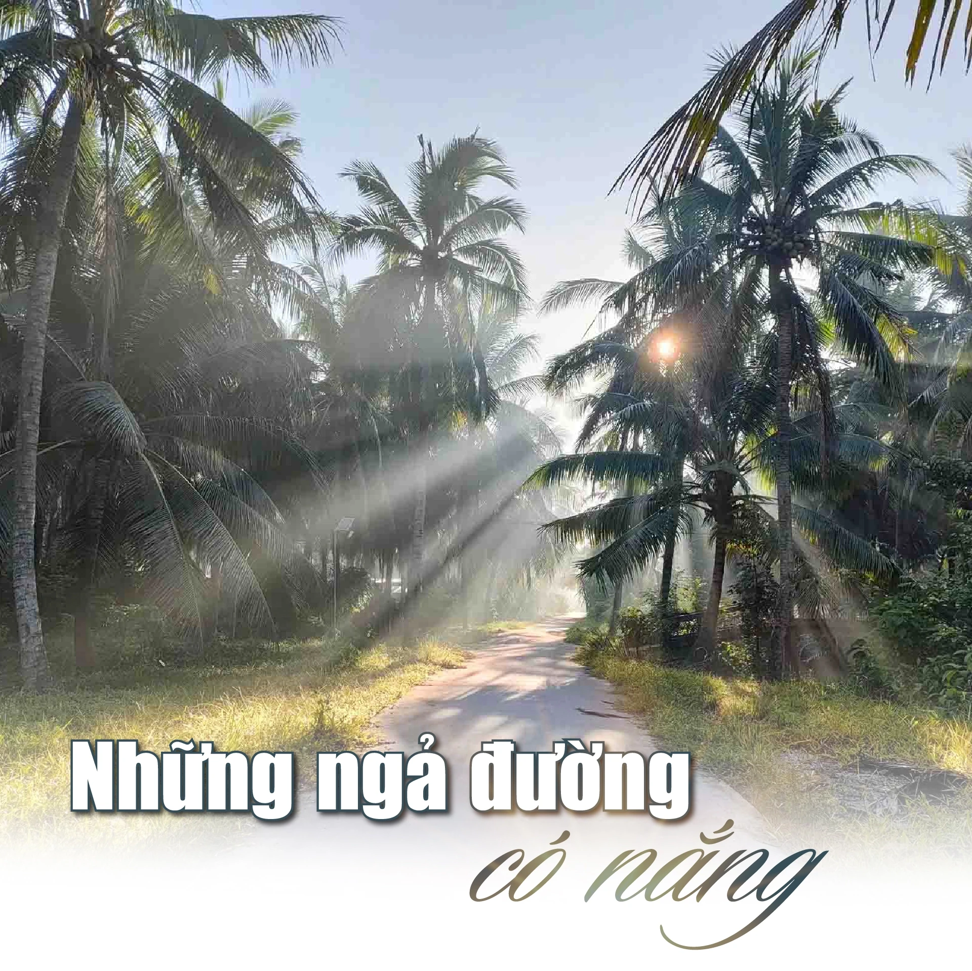 [E-magazin]: Những ngả đường có nắng