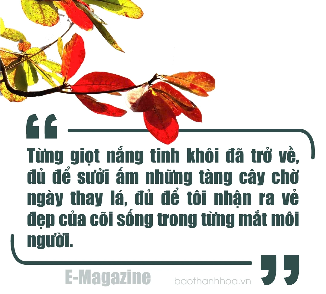 [E-magazin]: Những ngả đường có nắng