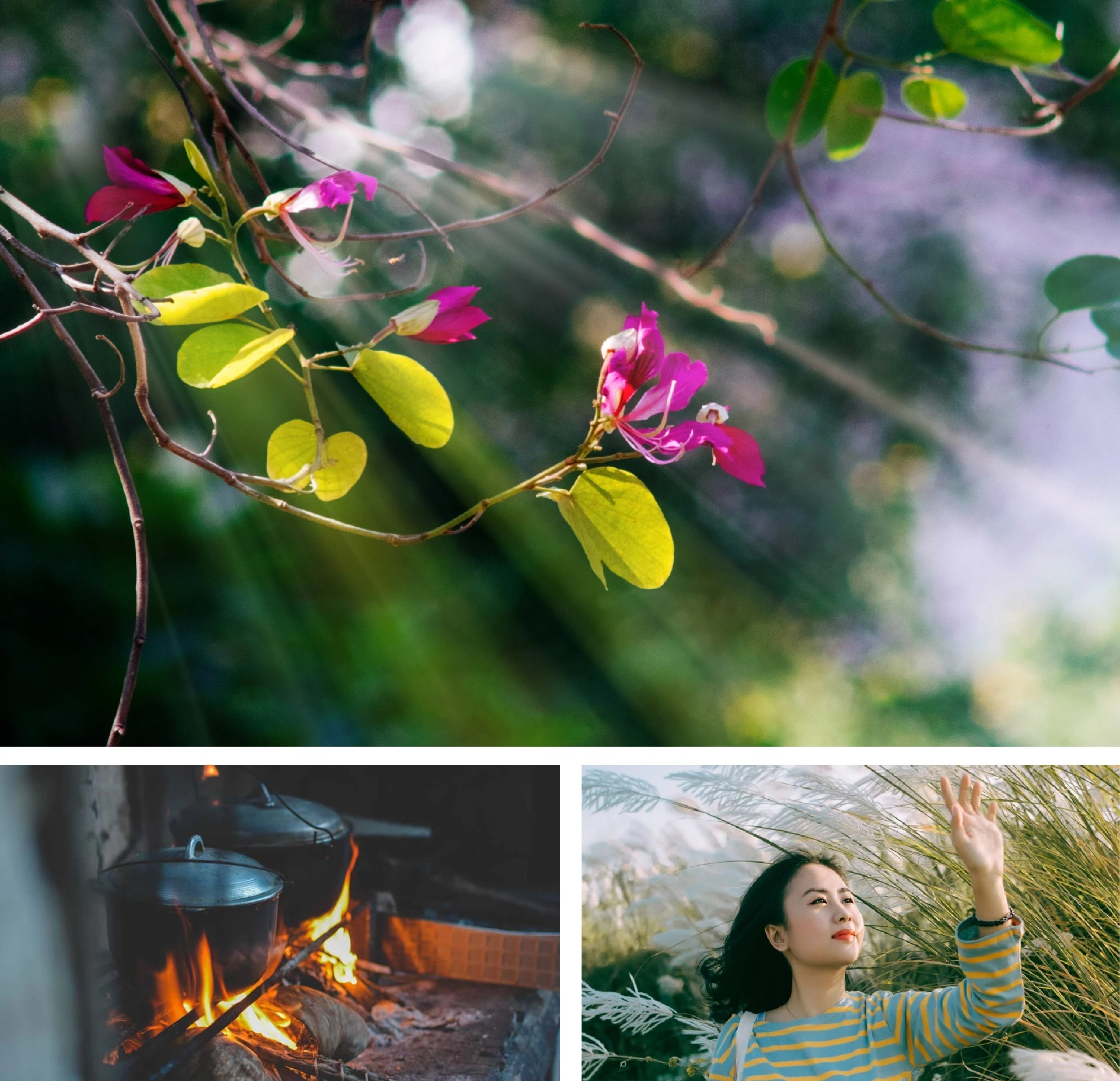 [E-magazin]: Những ngả đường có nắng