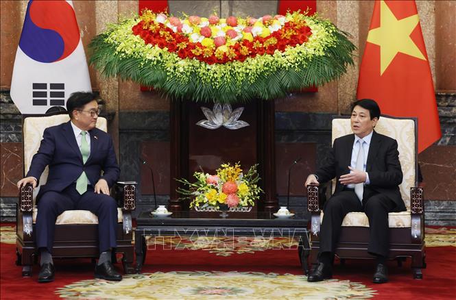 Chủ tịch nước Lương Cường hội kiến Chủ tịch Quốc hội Hàn Quốc