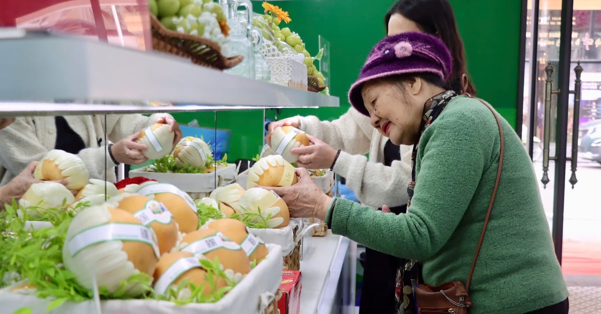 Từ nho sữa, lê Hàn Quốc đến máy ảnh Canon, xe máy Honda đều có hàng giả