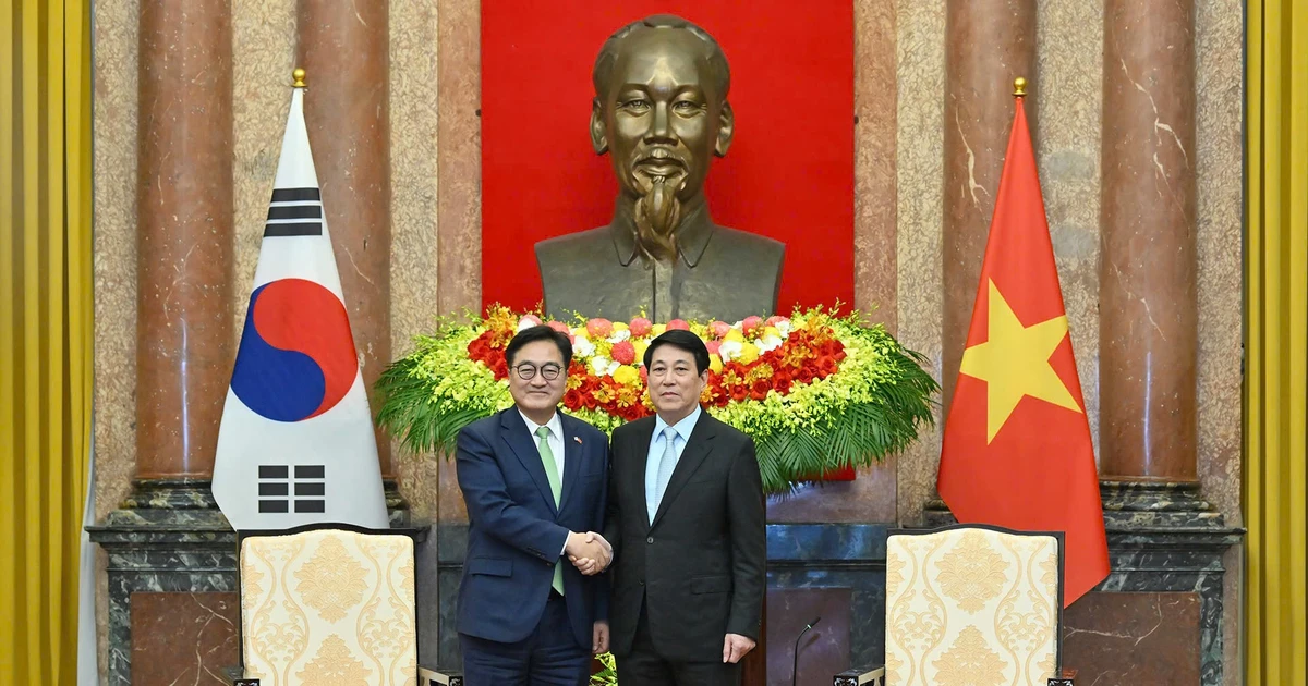 Chủ tịch nước Lương Cường hội kiến Chủ tịch Quốc hội Hàn Quốc Woo Won Shik