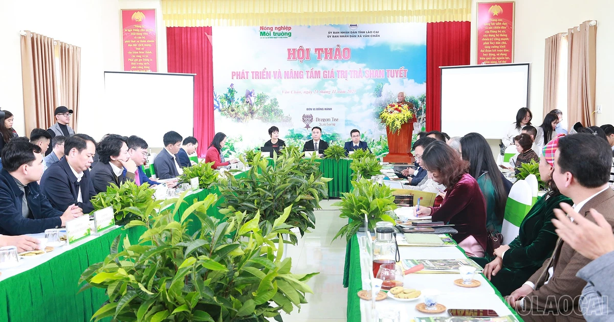 Hội thảo phát triển và nâng cao giá trị trà Shan Tuyết