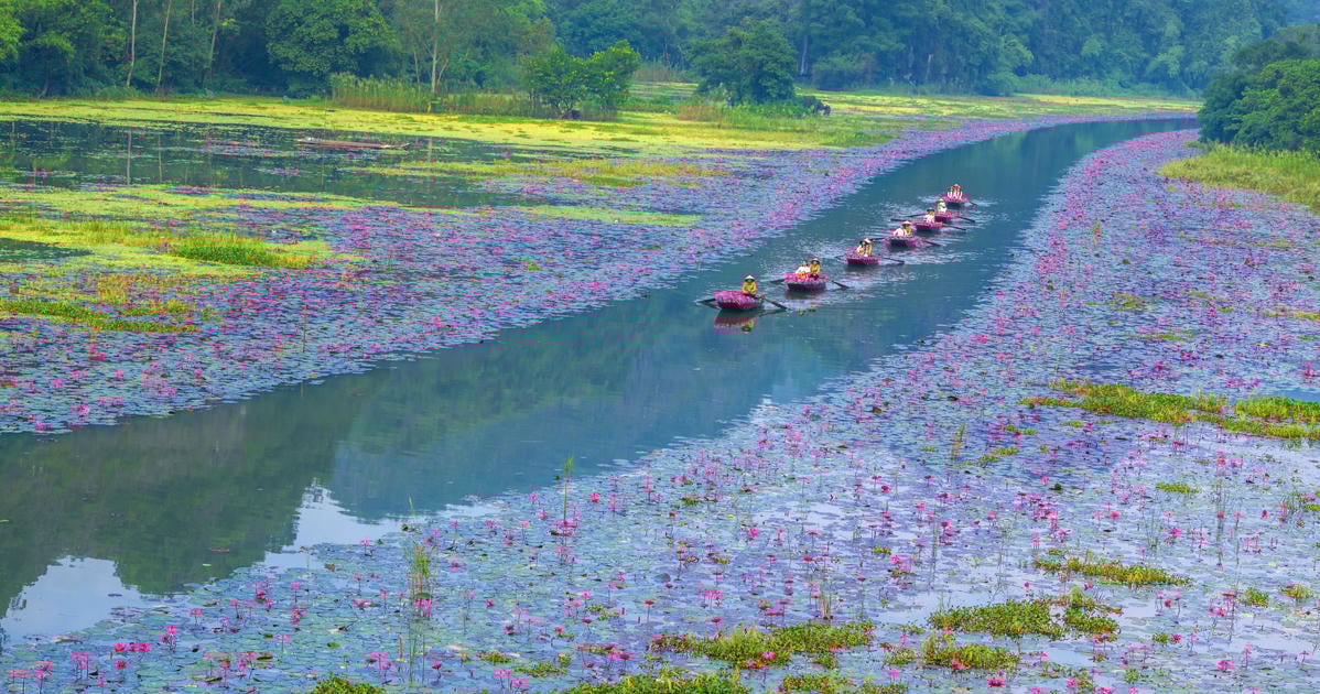 Ninh Bình tổ chức chương trình "Sắc Hồng Tam Cốc 2025 - bản tình ca mùa thu"