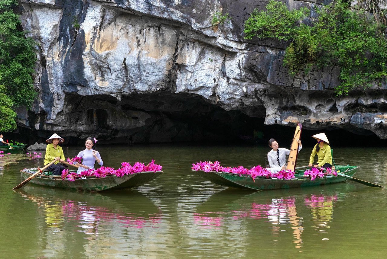 ความงดงามมหัศจรรย์ของแม่น้ำโงดง เมื่อดอกบัวสีม่วงบานสะพรั่ง ดุจบทเพลงรักอันอ่อนโยนที่ไหลผ่านระหว่างคลื่นและถ้ำ