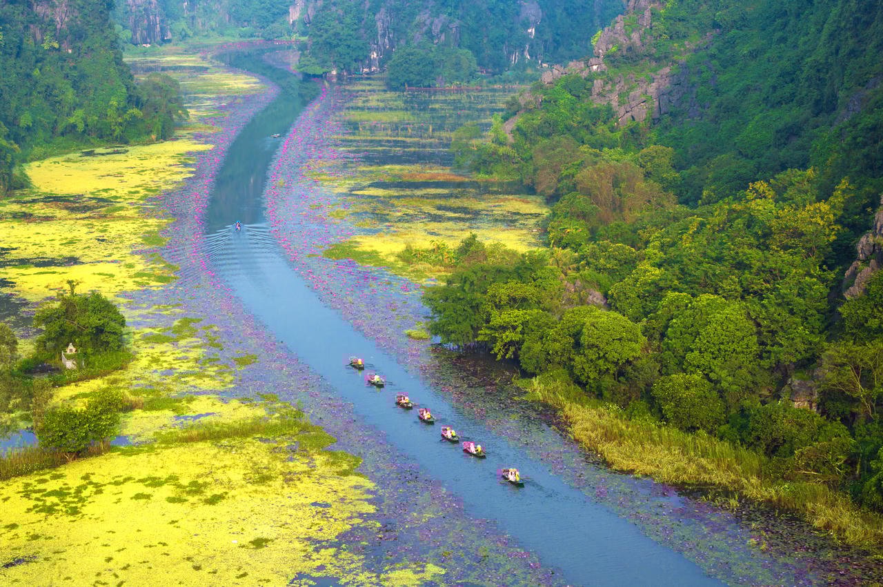 Tam Coc – Bich Dong ไม่เพียงแต่เป็นจุดหมายปลายทางสำหรับฤดูข้าวสุก (“สีทองของ Tam Coc”) เท่านั้น แต่ยังเป็นสถานที่สัมผัสฤดูใบไม้ร่วงที่งดงามอีกด้วย ซึ่งช่วยดึงดูดนักท่องเที่ยวมาได้ในระยะยาว