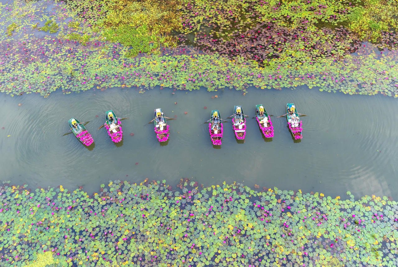 เรือหลายร้อยลำที่ประดับประดาด้วยดอกบัวขนาดใหญ่จะล่องผ่านฮังกา ฮังไห่ ฮังบา สร้างบรรยากาศที่มีชีวิตชีวาบนผิวน้ำ