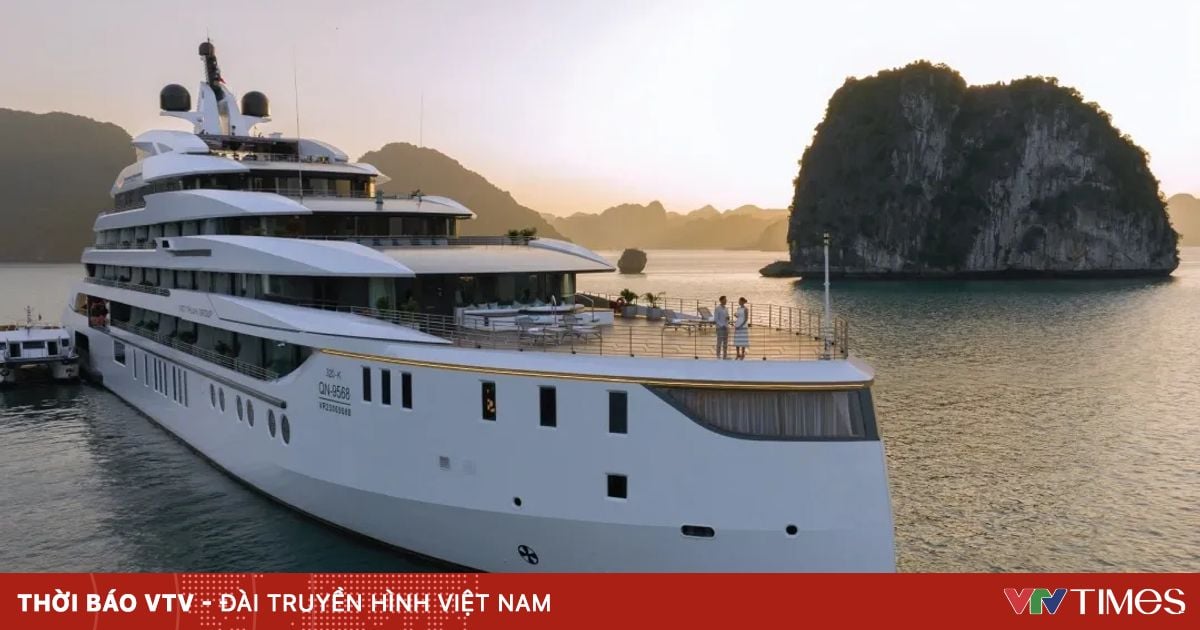 Đề xuất du thuyền bắt buộc phải có người quản lý an toàn