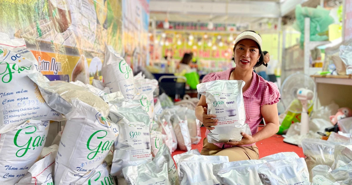 Gia Lai xây dựng thương hiệu gạo đặc trưng để mở rộng thị trường tiêu thụ