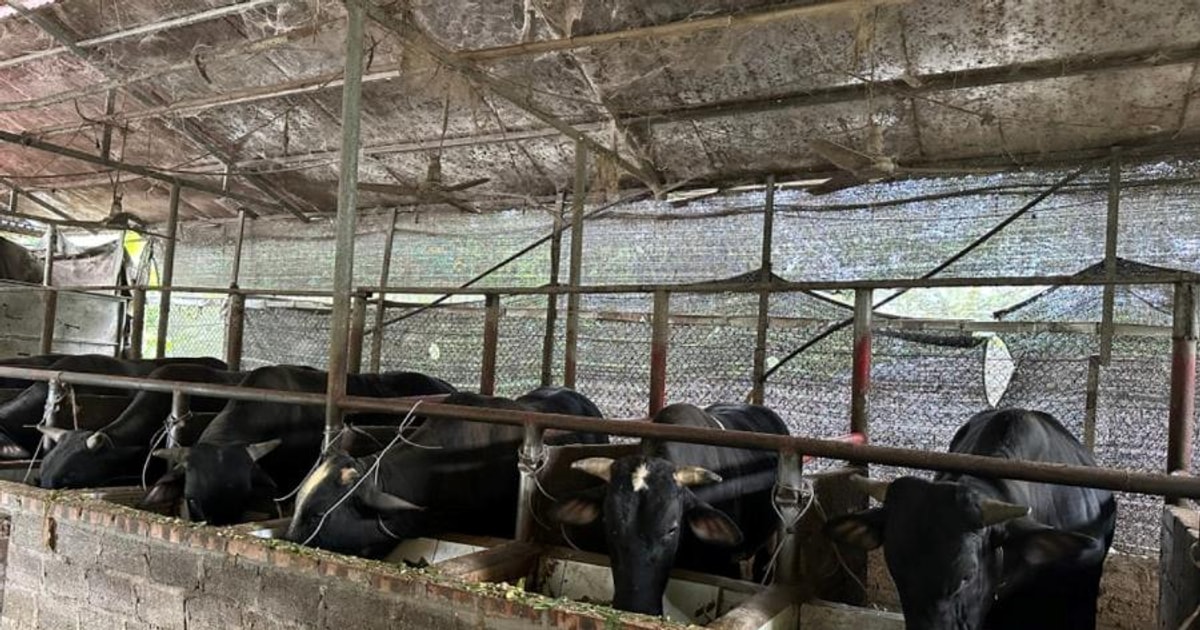 Nỗ lực giảm nghèo ở vùng cao Võ Nhai, tỉnh Thái Nguyên