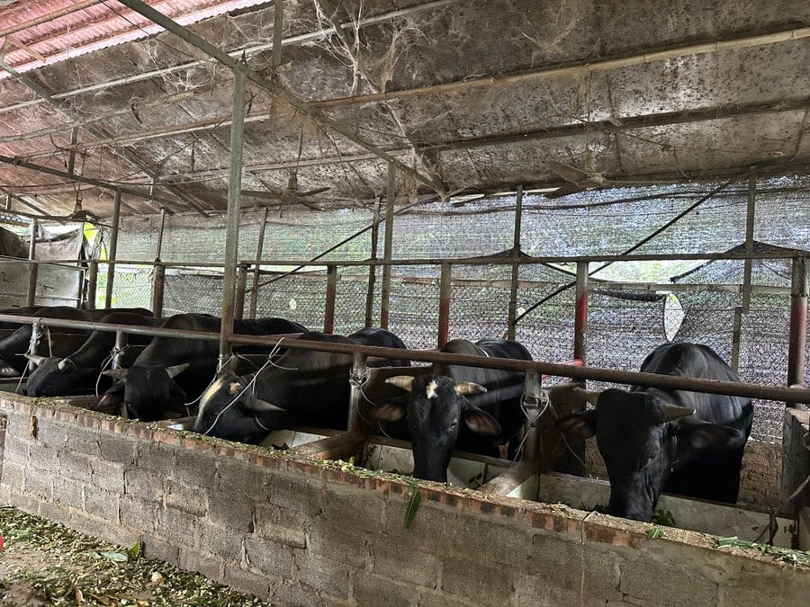 ຮູບພາບ (1)