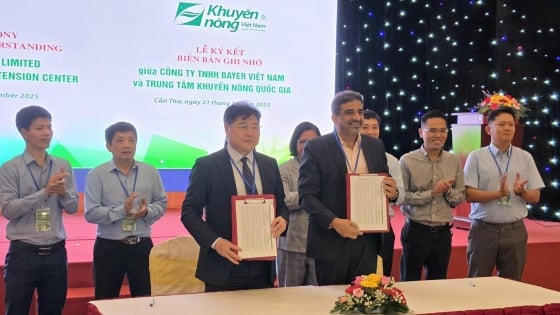 Bayer ForwardFarming - Hiện thực hóa Đề án Quốc gia về canh tác lúa bền vững