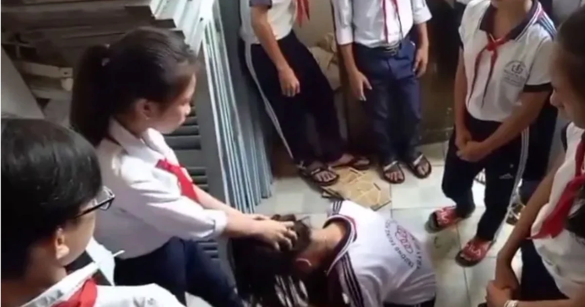 Bạo lực học đường: Cần chế tài giáo dục đặc biệt, lao động công ích, gửi đi trại giáo dưỡng