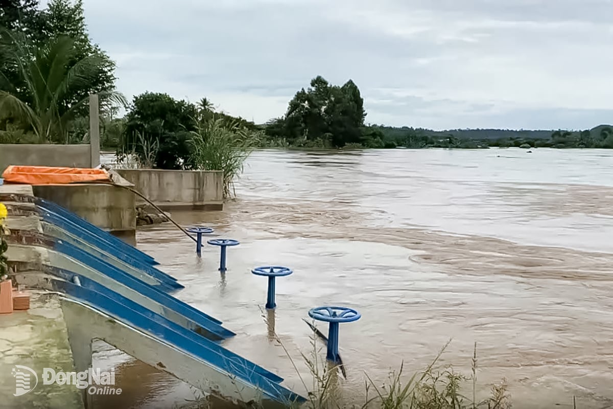 Nước rút chậm, xã Đak Lua tiếp tục cảnh giác trước diễn biến phức tạp