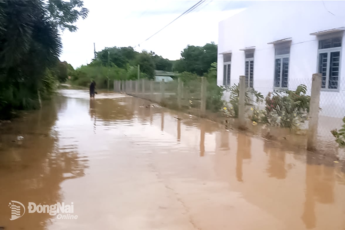 Không chủ quan nhưng cũng không quá lo lắng khi mực nước sông Đồng Nai dâng cao