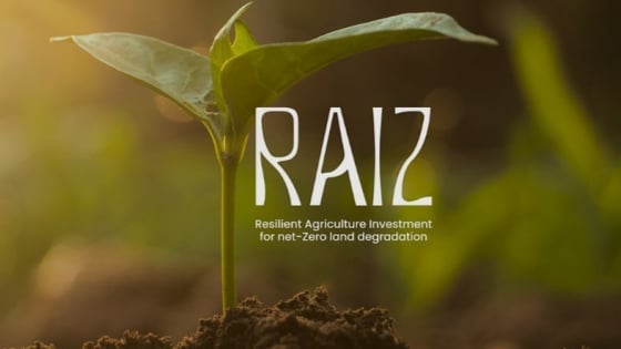 COP30 bàn giải pháp chống suy thoái đất toàn cầu