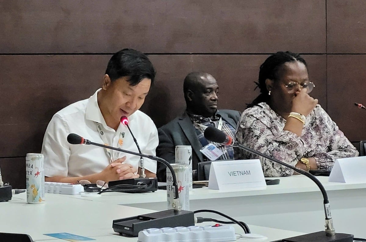 Ông Lê Ngọc Tuấn, Phó Cục trưởng Cục Biến đổi khí hậu phát biểu tại Hội nghị. Ảnh: DCC.