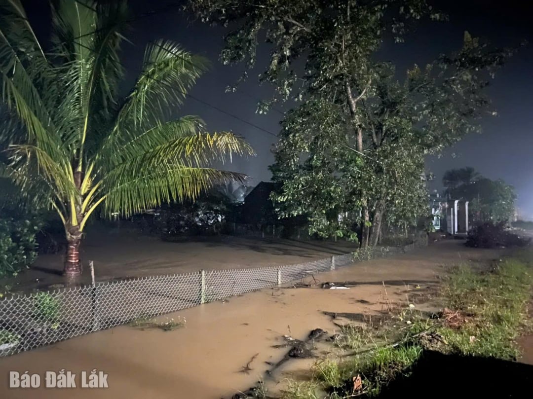 ヴボン村の多くの生産地や家屋が浸水した。