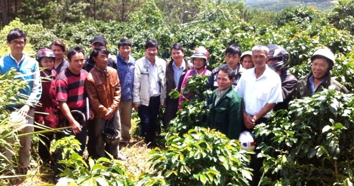 Tái canh cà phê đặt ra nhiều mục tiêu