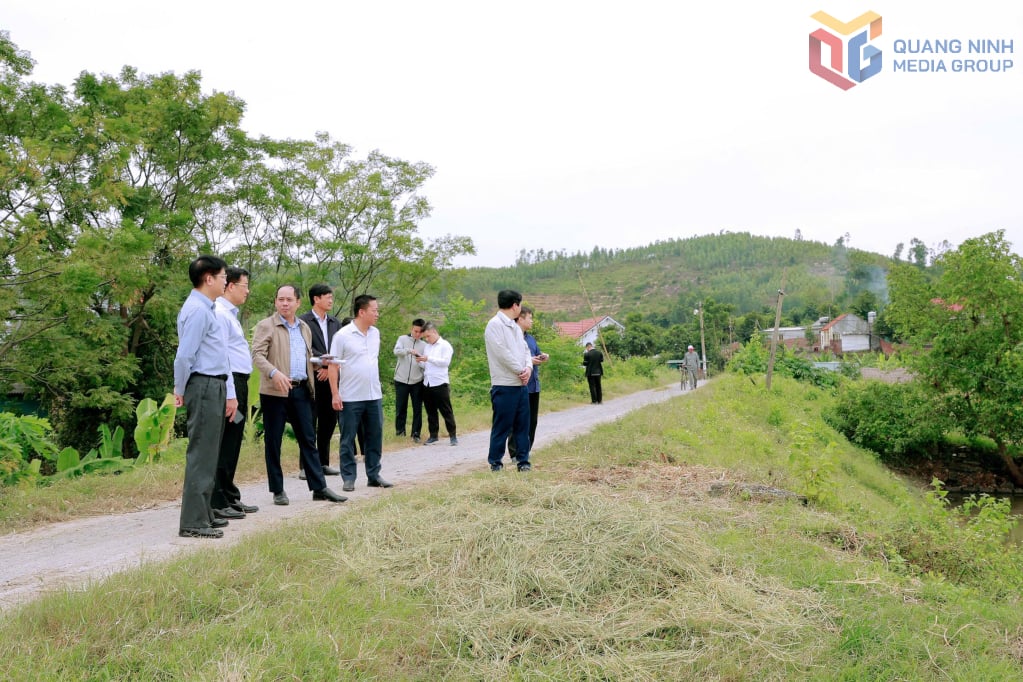 Den provinsiella arbetsdelegationen inspekterade Dong Mai-vallen, Nguyen Hue 3:e kvartalet, Dong Trieu-distriktet, oktober 2025.