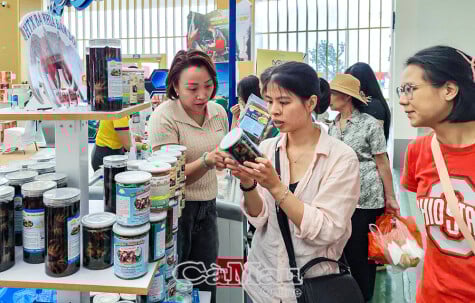 Cà Mau bứt phá tại Hội chợ Mùa thu 2025 với “Hương rừng - Vị biển”