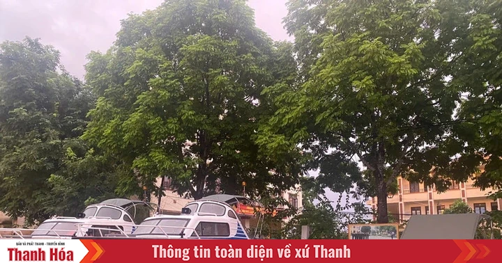 Tăng cường công tác quản lý và sử dụng hàng dự trữ quốc gia để hỗ trợ, ứng phó mưa, lũ