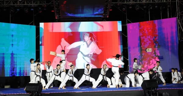 Liên hoan võ thuật quốc tế TP HCM 2025: Võ thuật Việt Nam - Kết nối hòa bình