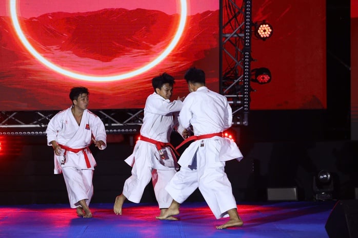 Liên hoan võ thuật quốc tế TP HCM 2025: Võ thuật Việt Nam - Kết nối hòa bình - Ảnh 10.