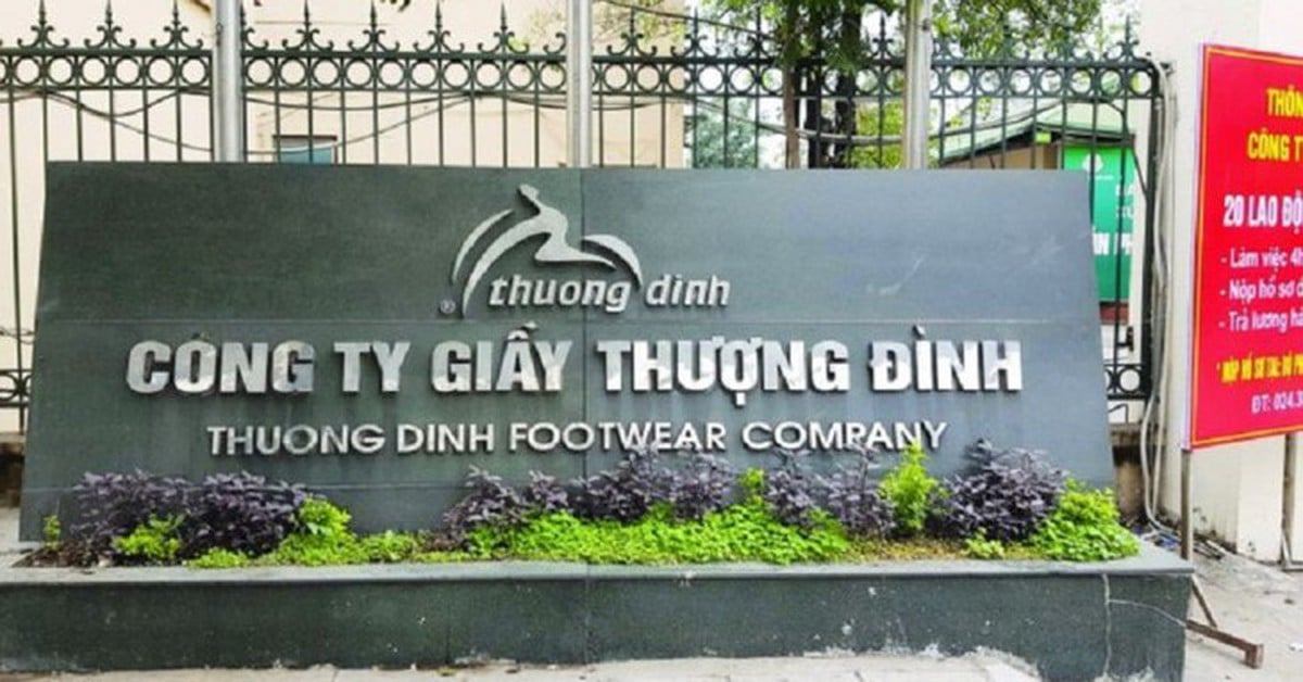 UBND TP Hà Nội thoái vốn, Giày Thượng Đình sắp đổi chủ?