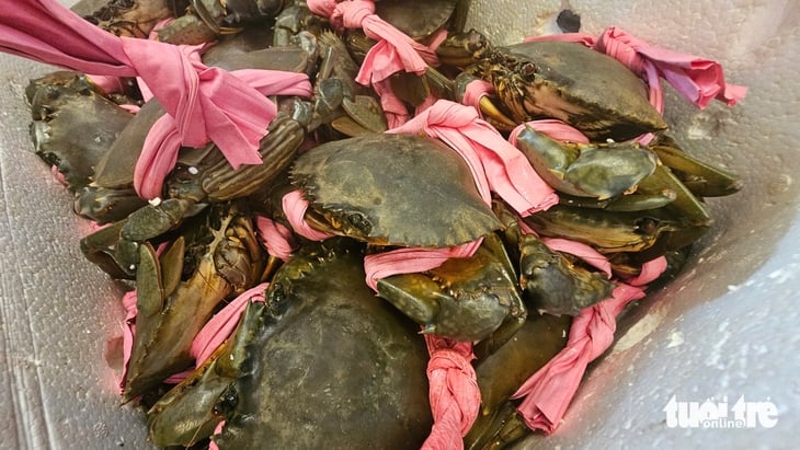 cua Cà Mau - Ảnh 5.