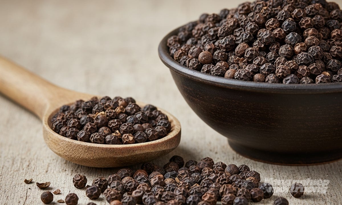 Giá tiêu hôm nay 22/11/2025 ở trong nước và thế giới mới nhất