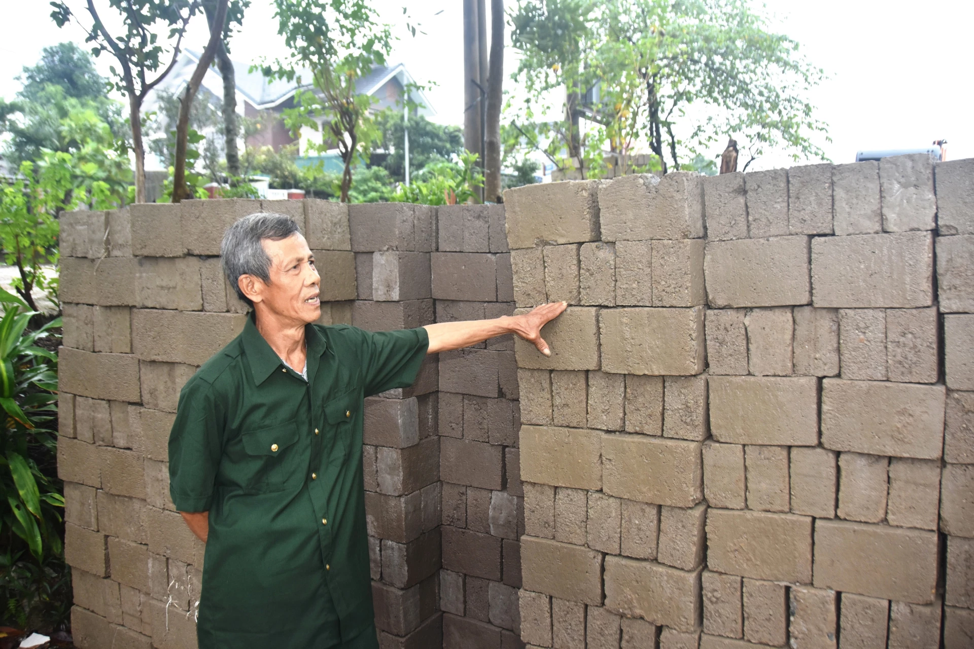 동하 구의 베테랑 응우옌 반 민은 음모의 은행을 모델로 빈곤에서 벗어나려고 노력합니다. - 사진: D.V