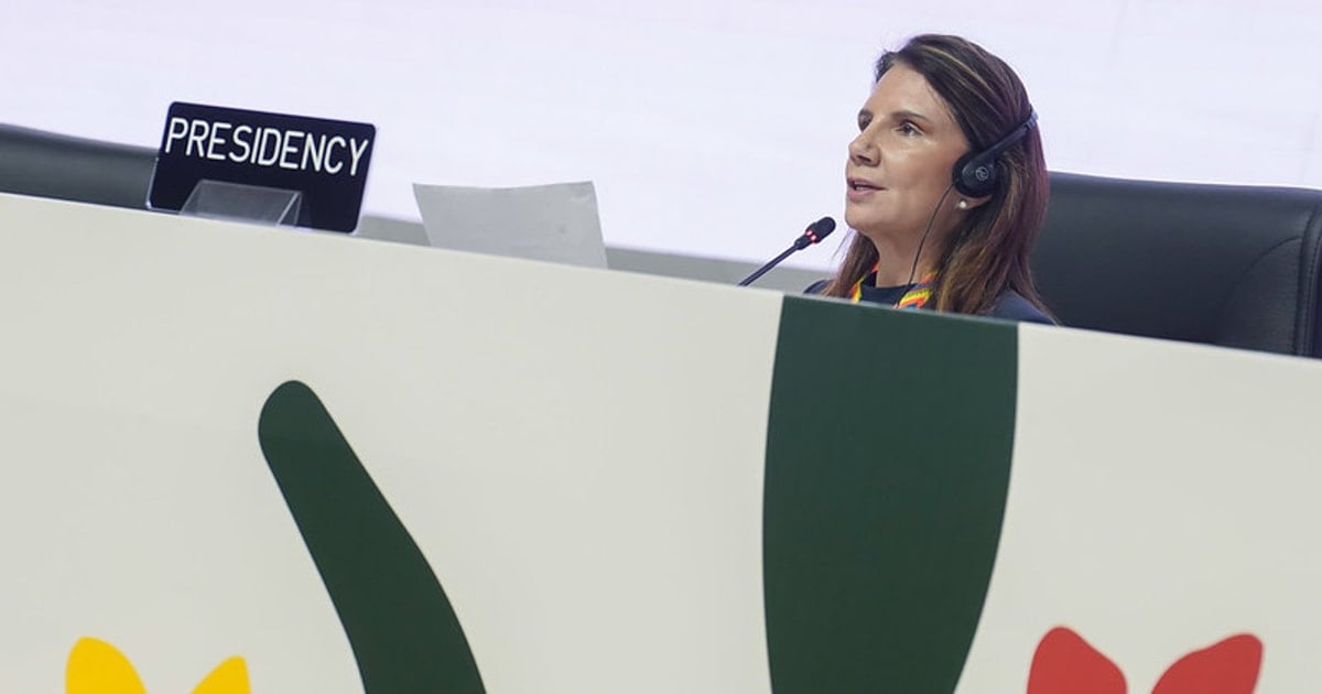 COP30 kêu gọi đoàn kết giữa bế tắc về nhiên liệu hóa thạch