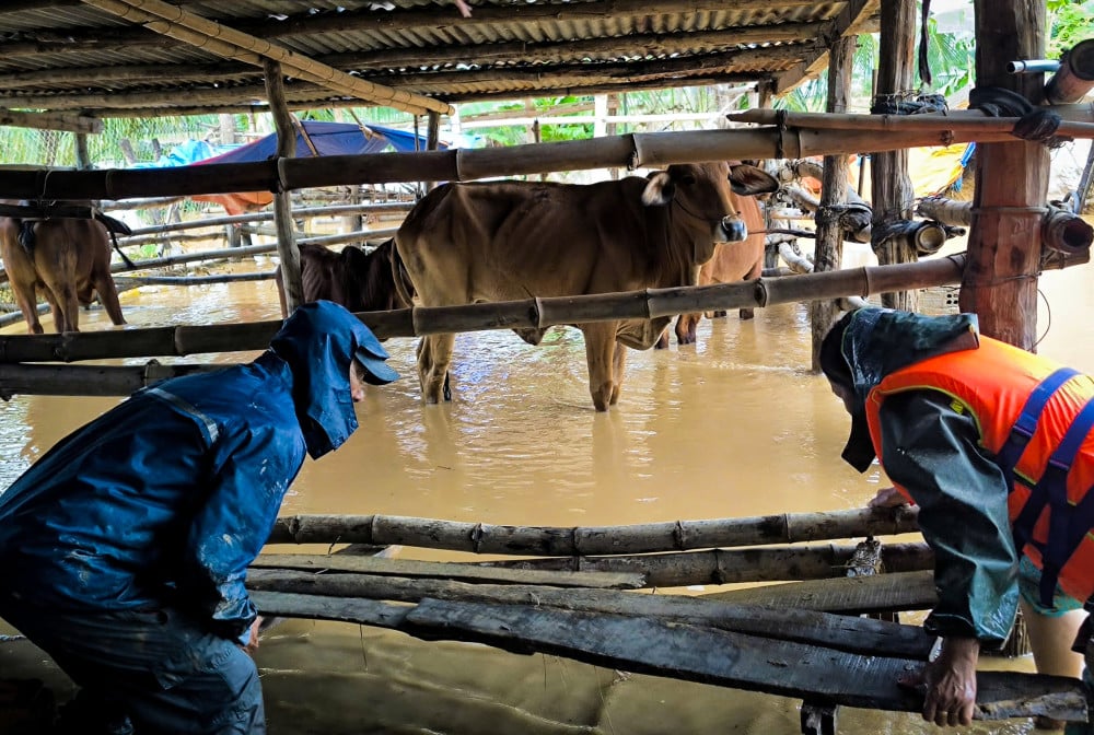 Időjárás ma, november 22-én: Quang Ngai-tól Dak Lak-ig és Khanh Hoa-ig még mindig esik az eső