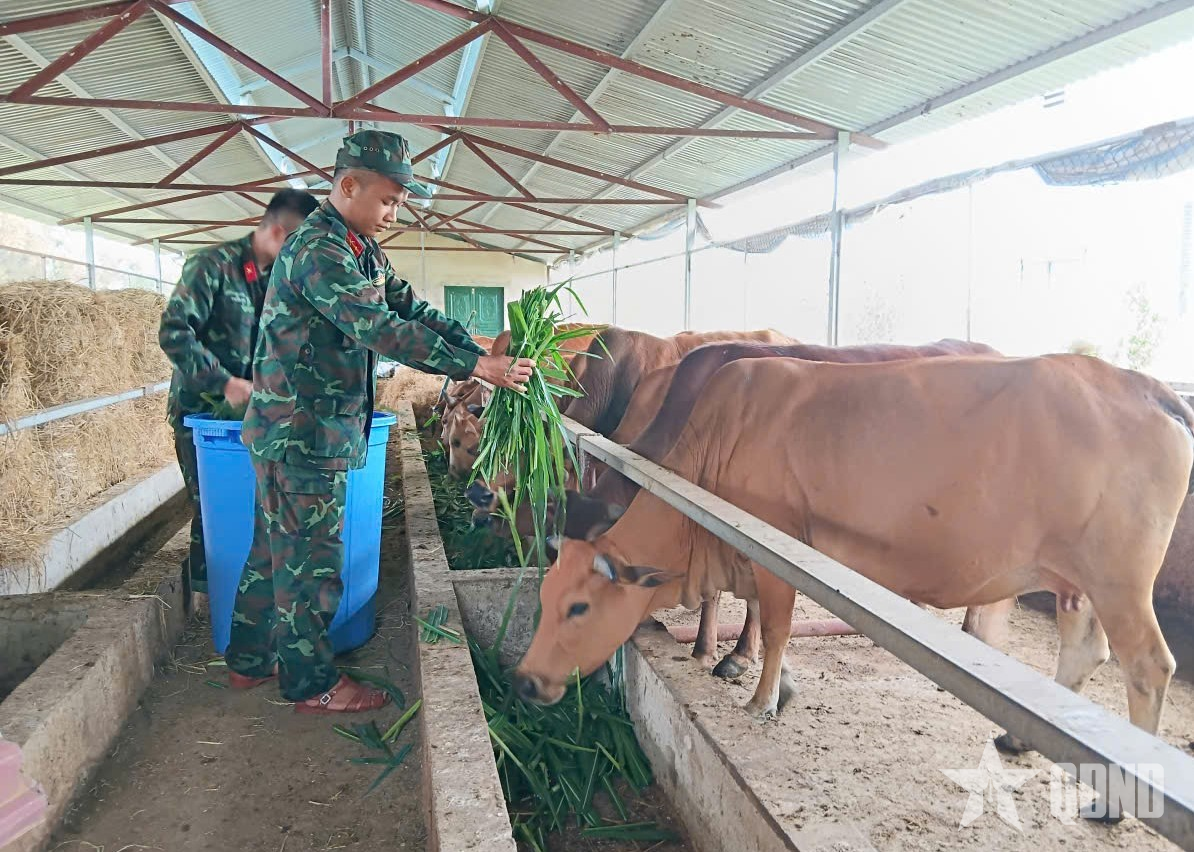 “Thực túc binh cường” ở Trung đoàn 82