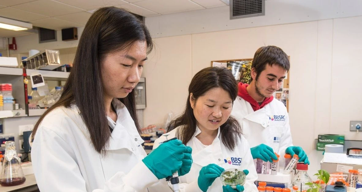 Trung Quốc mở rộng đào tạo tiến sĩ