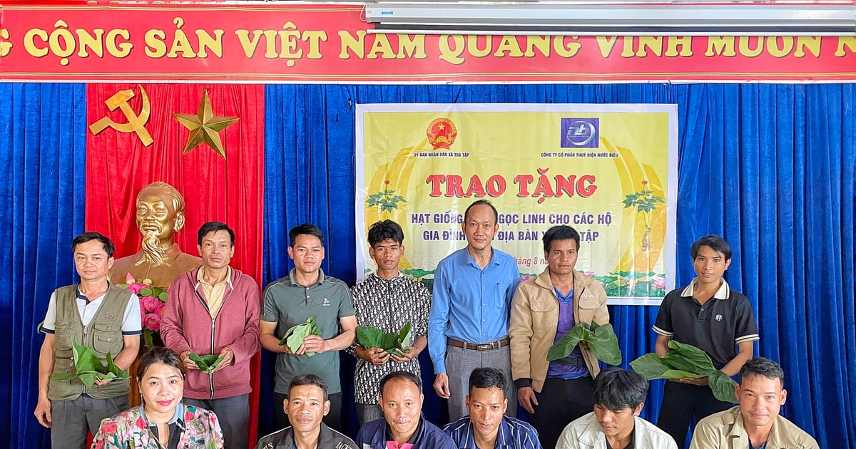 Trao sâm giống, mở cơ hội thoát nghèo