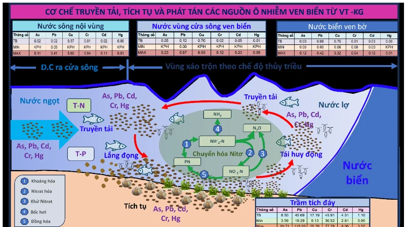 Giải mã bài toán ô nhiễm ven biển Nam Bộ